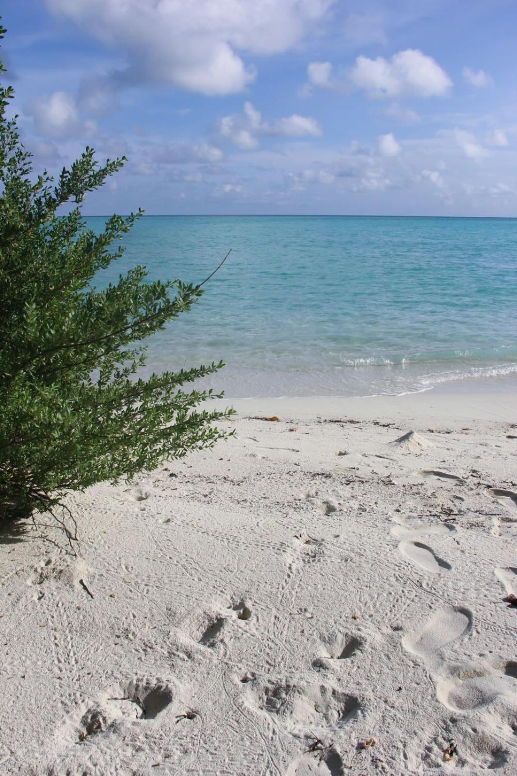 Isla Retreat Hotel Fehendhoo Bagian luar foto